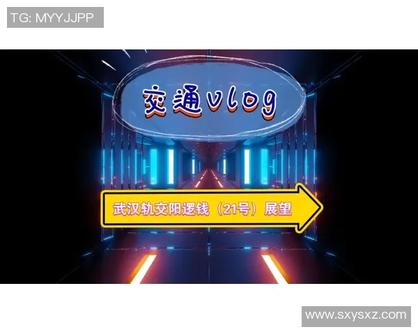 武汉乒乓球队的阵地战解析与未来发展展望